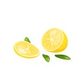 Vector illustration of a sliced lemon. Source of vitamin C